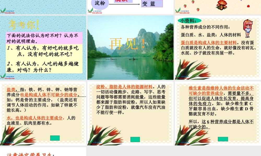 四年级自然与科学下册 饮食与健康课件 首师大版