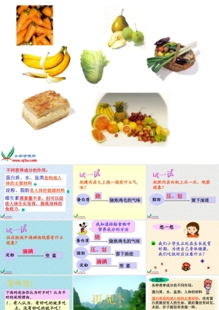 四年级自然与科学下册 饮食与健康课件 首师大版