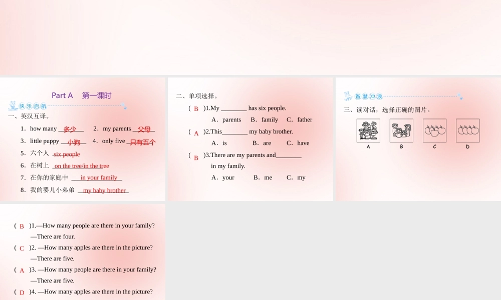 四年级英语上册 Unit 6 Meet my family Part A（第1课时）练习课件 人教PEP版-人教PEP小学四年级上册英语课件
