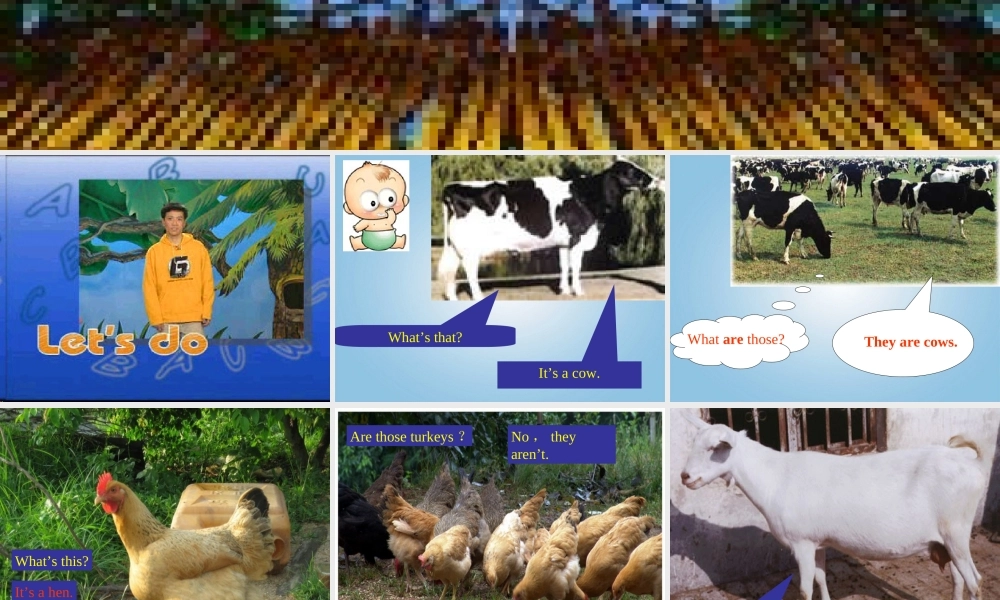 四年级英语下册 Unit 6(3)课件 人教PEP