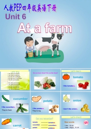 四年级英语下册 Unit 6(9)课件 人教PEP