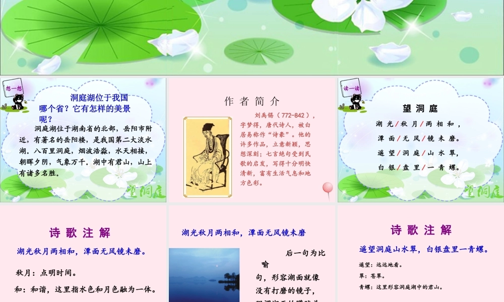 四年级语文上册 第一单元 1《古诗两首》望洞庭优培课件 鲁教版-鲁教版小学四年级上册语文课件