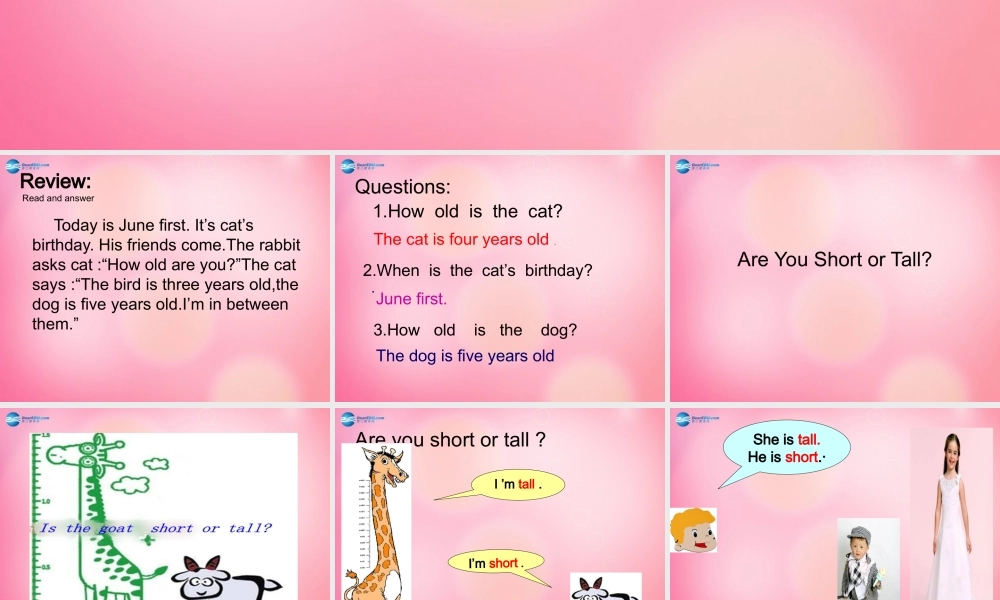 四年级英语下册 Unit 3Lesson 18 Are you short or tall课件 冀教版（三起）-冀教版小学四年级下册英语课件