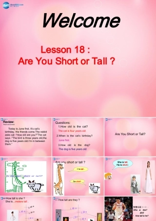 四年级英语下册 Unit 3Lesson 18 Are you short or tall课件 冀教版（三起）-冀教版小学四年级下册英语课件