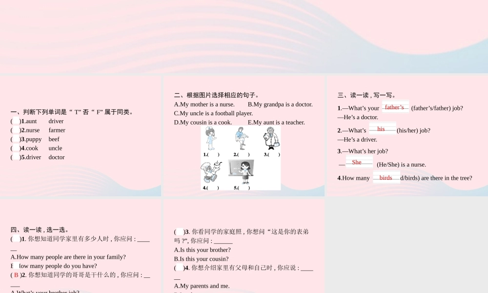 四年级英语上册 Unit 6 Meet my family Part B（2）Let’s learn Let’s play作业课件 人教PEP-人教PEP小学四年级上册英语课件