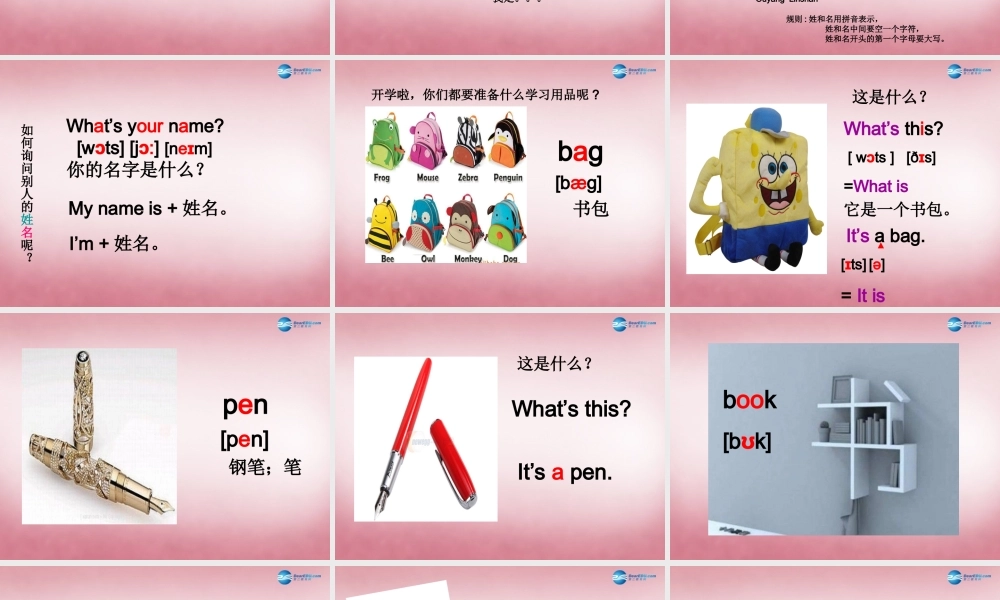 四年级英语上册 Unit1 Nice to meet you课件4 （新版）湘少版