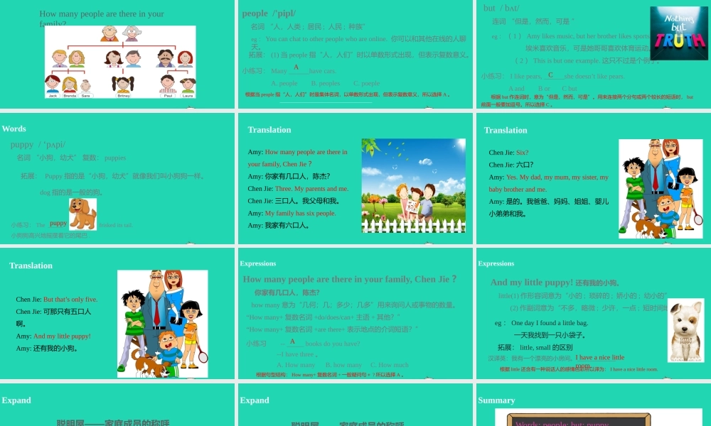 四年级英语上册 Unit 6 Meet my family（第1课时）课件 人教PEP版-人教PE级上册英语课件