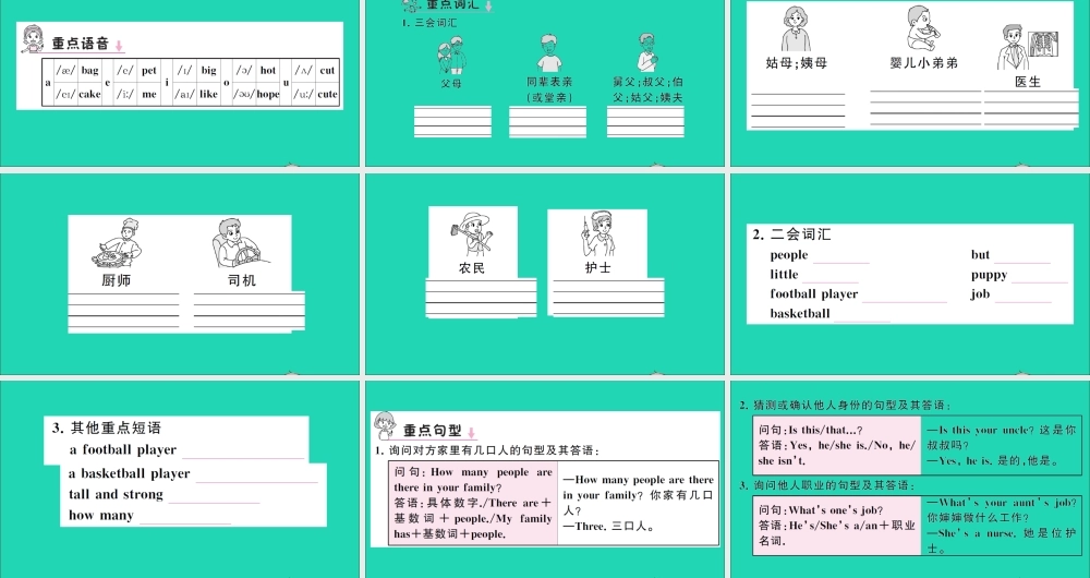 四年级英语上册 Unit 6 Meet my family单元知识梳理课件 人教PEP-人教PEP小学四年级上册英语课件