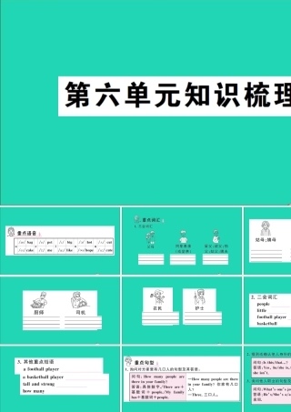 四年级英语上册 Unit 6 Meet my family单元知识梳理课件 人教PEP-人教PEP小学四年级上册英语课件
