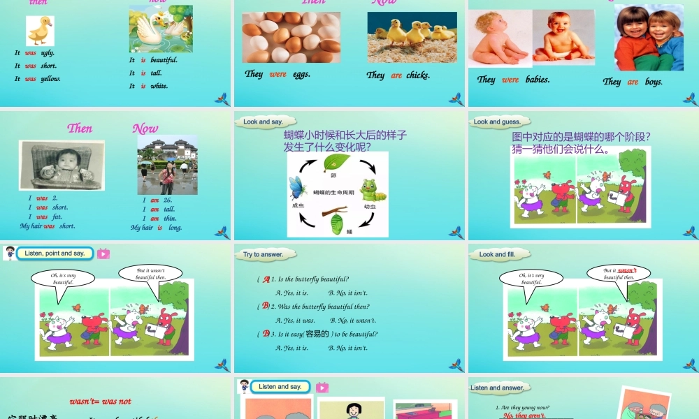 四年级英语下册 Module 5 Unit 2 They were young课件 外研版（三起）-外研版小学四年级下册英语课件