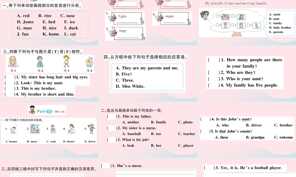 四年级英语上册 Unit 6 Meet my family作业课件 人教PEP-人教PEP小学四年级上册英语课件