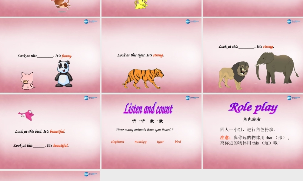 四年级英语上册 Unit3 Look at that elephant课件1 （新版）湘少版