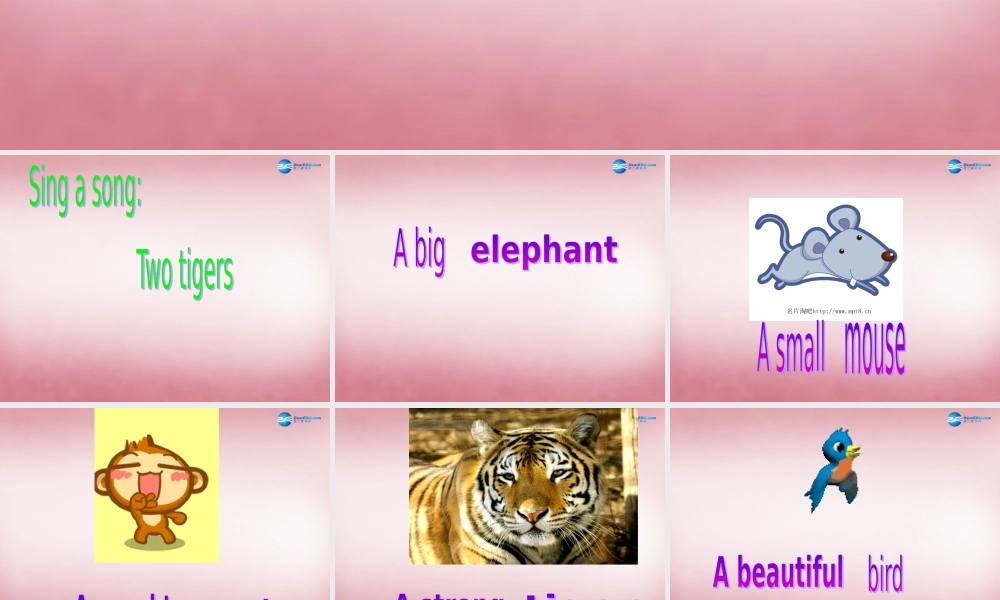 四年级英语上册 Unit3 Look at that elephant课件2 （新版）湘少版