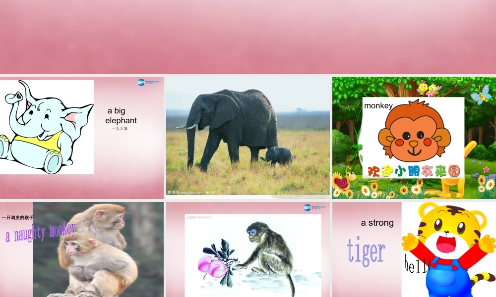 四年级英语上册 Unit3 Look at that elephant课件4 （新版）湘少版