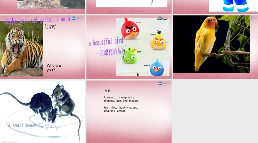 四年级英语上册 Unit3 Look at that elephant课件4 （新版）湘少版