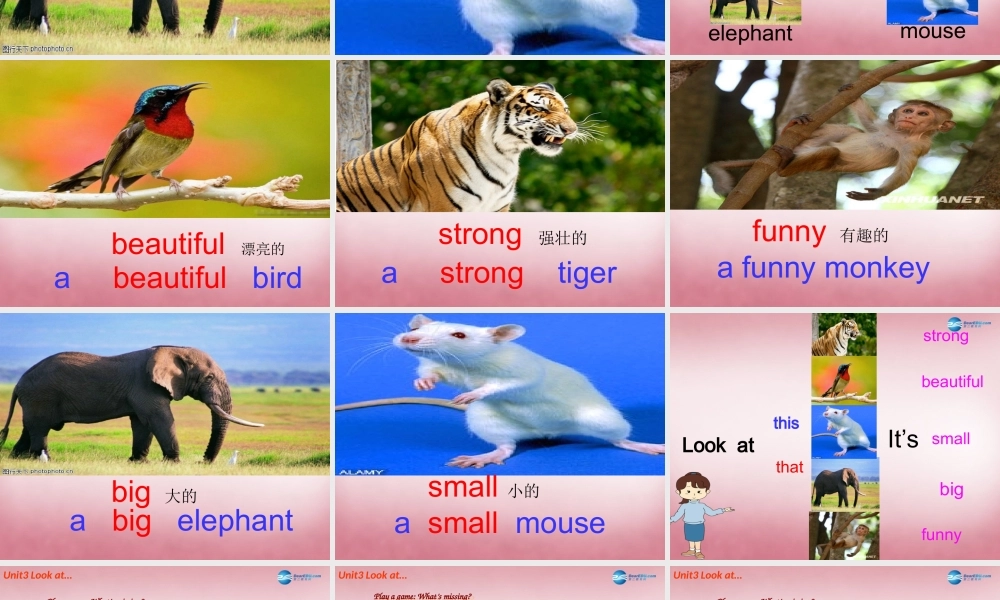 四年级英语上册 Unit3 Look at that elephant课件6 （新版）湘少版