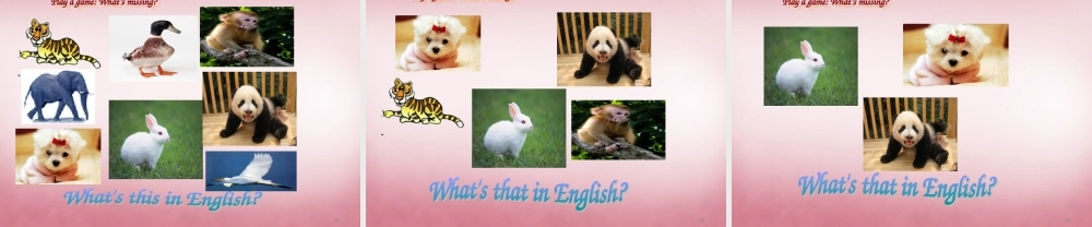 四年级英语上册 Unit3 Look at that elephant课件6 （新版）湘少版