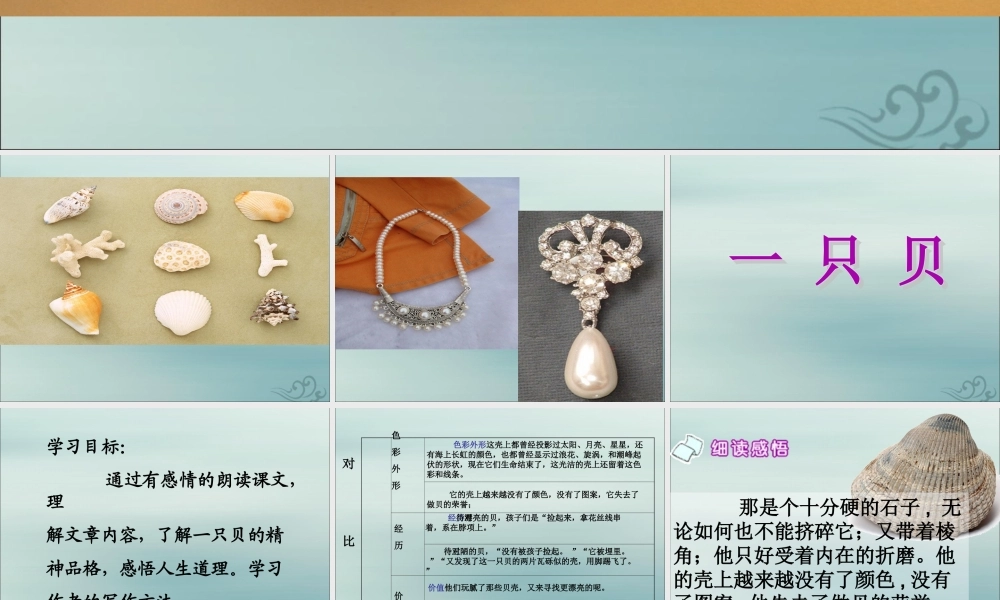 四年级语文上册 第一单元 3 一只贝教学课件 语文S版-语文S版小学四年级上册语文课件
