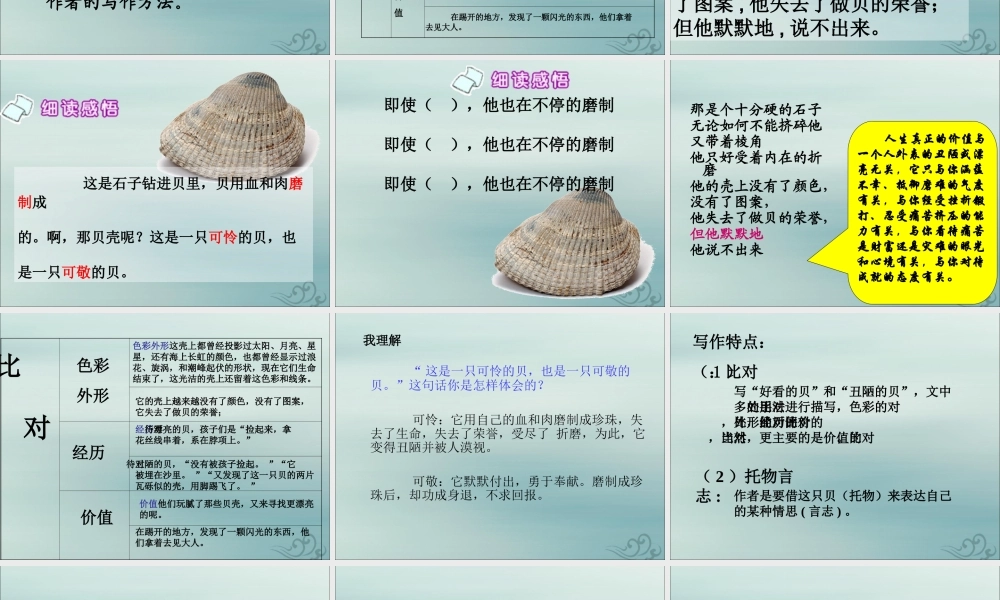 四年级语文上册 第一单元 3 一只贝教学课件 语文S版-语文S版小学四年级上册语文课件