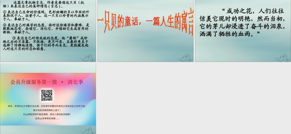 四年级语文上册 第一单元 3 一只贝教学课件 语文S版-语文S版小学四年级上册语文课件