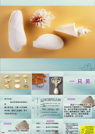 四年级语文上册 第一单元 3 一只贝教学课件 语文S版-语文S版小学四年级上册语文课件