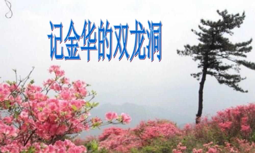 四年级语文上册 第一单元 3《记金华的双龙洞》优培课件 鲁教版-鲁教版小学四年级上册语文课件