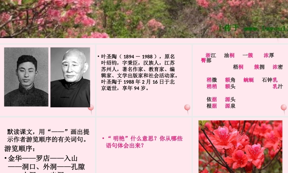 四年级语文上册 第一单元 3《记金华的双龙洞》优培课件 鲁教版-鲁教版小学四年级上册语文课件