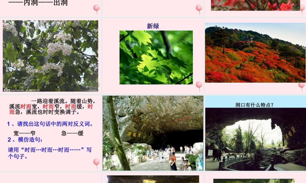 四年级语文上册 第一单元 3《记金华的双龙洞》优培课件 鲁教版-鲁教版小学四年级上册语文课件