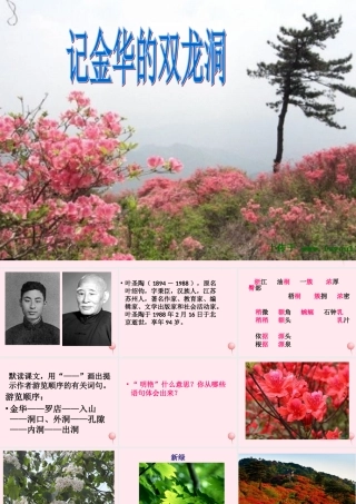 四年级语文上册 第一单元 3《记金华的双龙洞》优培课件 鲁教版-鲁教版小学四年级上册语文课件