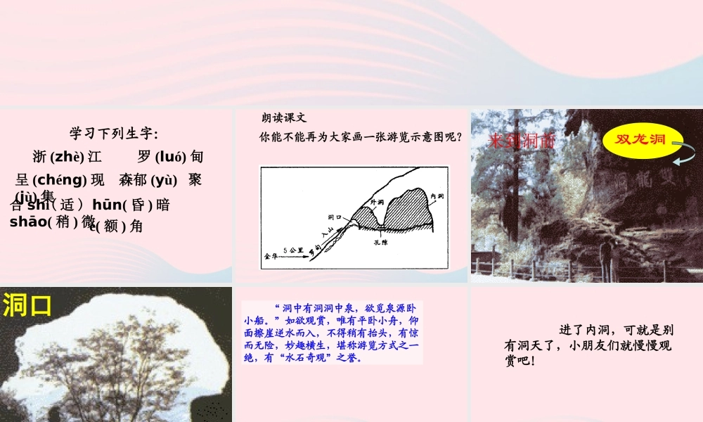 四年级语文上册 第一单元 3《记金华的双龙洞》原创课件 鲁教版-鲁教版小学四年级上册语文课件