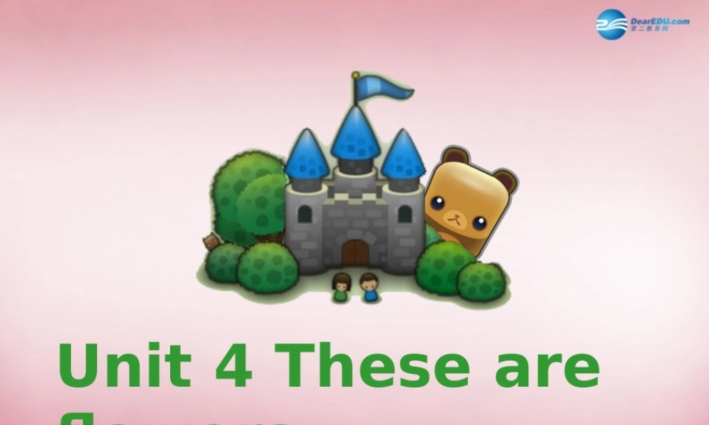 四年级英语上册 Unit4 These are flowers课件1 （新版）湘少版