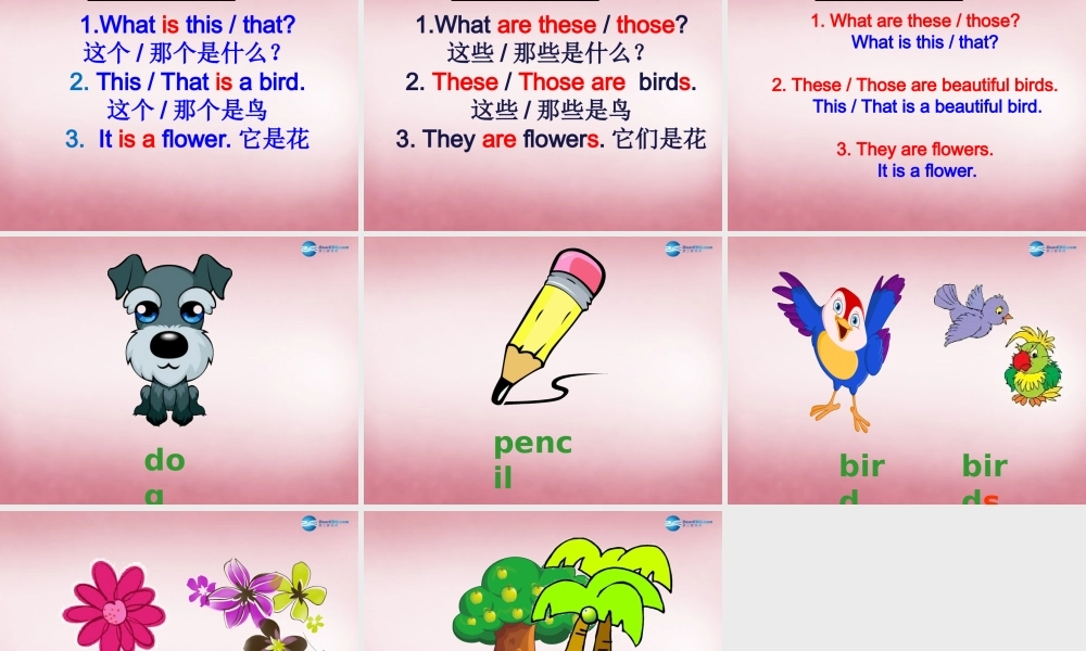 四年级英语上册 Unit4 These are flowers课件1 （新版）湘少版