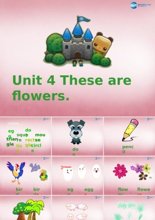 四年级英语上册 Unit4 These are flowers课件1 （新版）湘少版