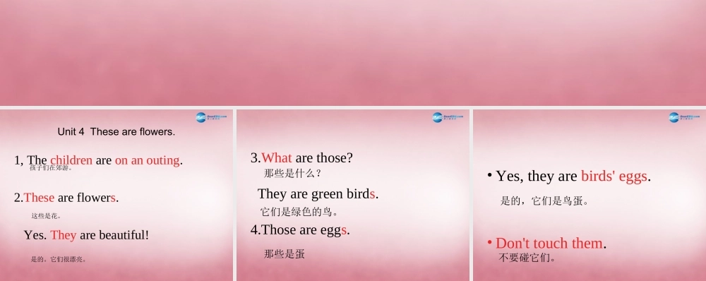 四年级英语上册 Unit4 These are flowers课件2 （新版）湘少版