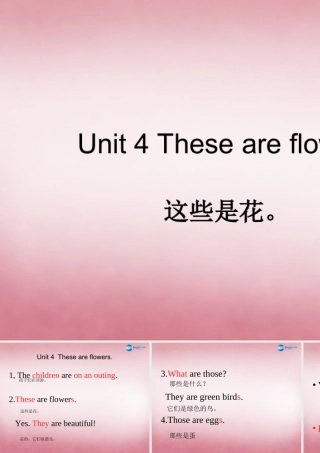 四年级英语上册 Unit4 These are flowers课件2 （新版）湘少版