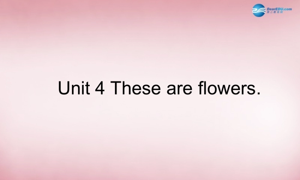 四年级英语上册 Unit4 These are flowers课件3 （新版）湘少版