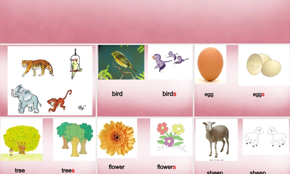 四年级英语上册 Unit4 These are flowers课件3 （新版）湘少版