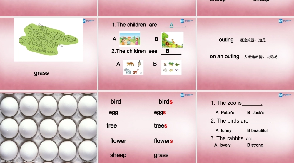 四年级英语上册 Unit4 These are flowers课件3 （新版）湘少版