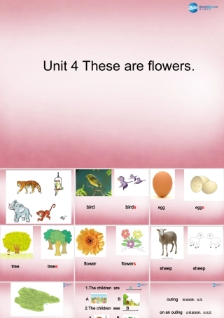 四年级英语上册 Unit4 These are flowers课件3 （新版）湘少版