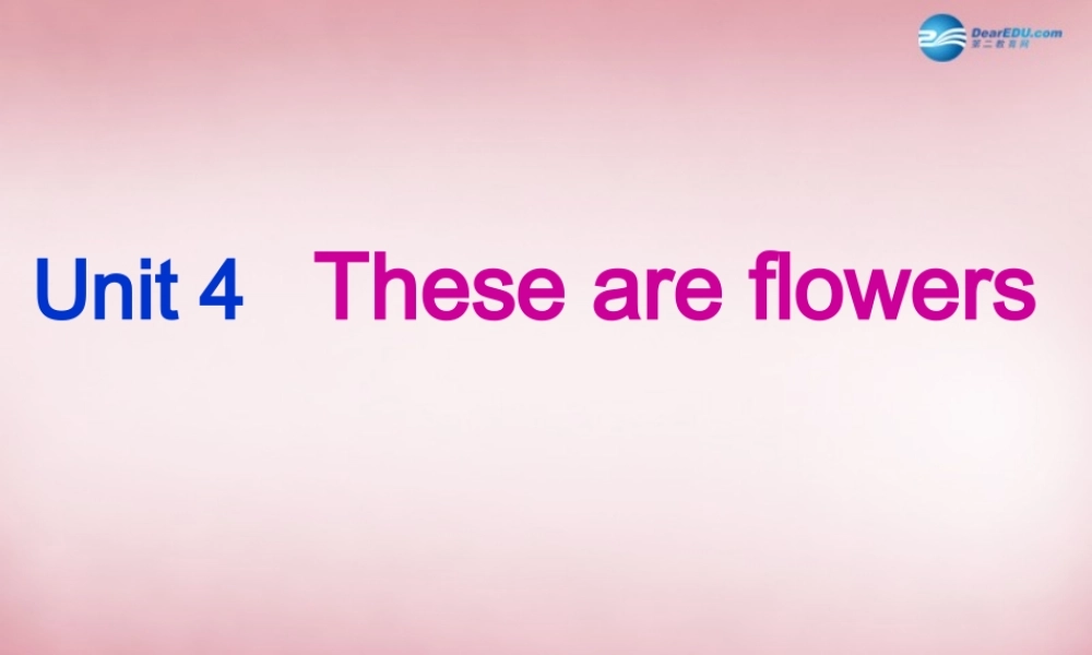 四年级英语上册 Unit4 These are flowers课件4 （新版）湘少版