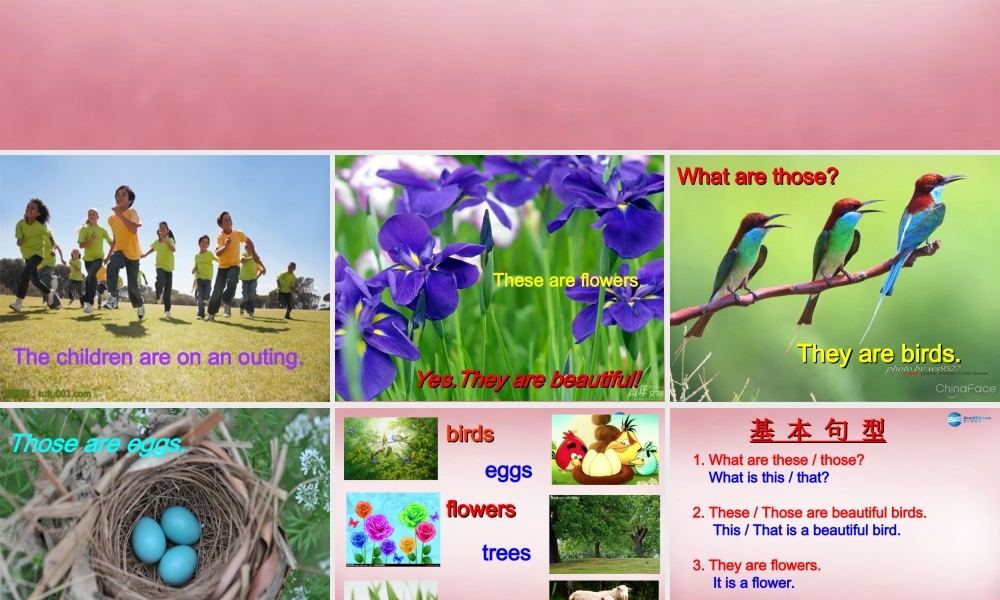 四年级英语上册 Unit4 These are flowers课件4 （新版）湘少版