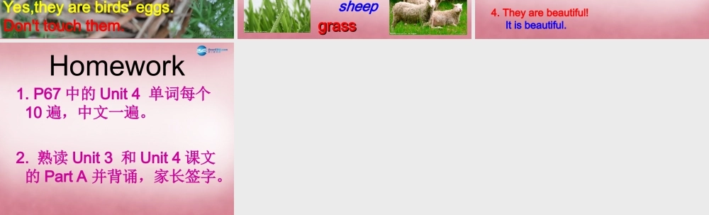 四年级英语上册 Unit4 These are flowers课件4 （新版）湘少版