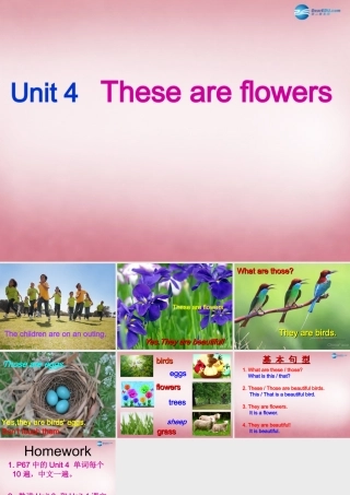 四年级英语上册 Unit4 These are flowers课件4 （新版）湘少版