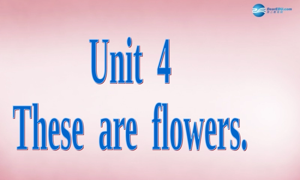 四年级英语上册 Unit4 These are flowers课件5 （新版）湘少版
