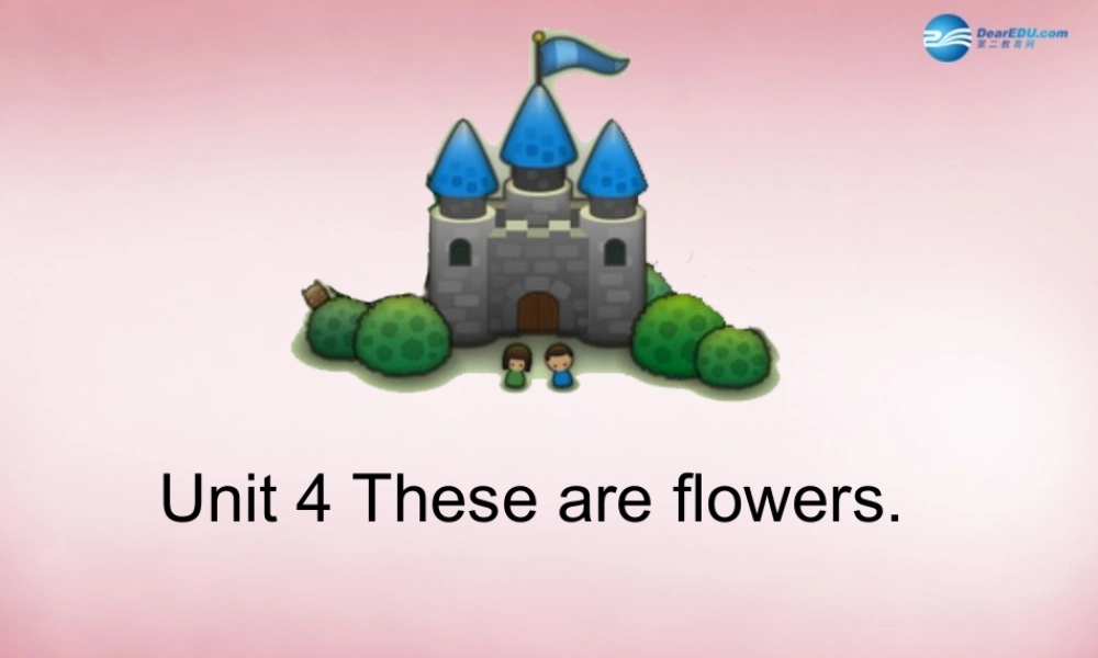 四年级英语上册 Unit4 These are flowers课件6 （新版）湘少版