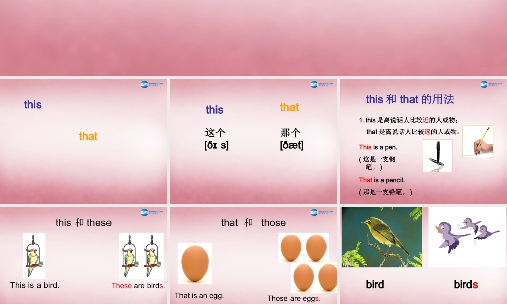 四年级英语上册 Unit4 These are flowers课件6 （新版）湘少版