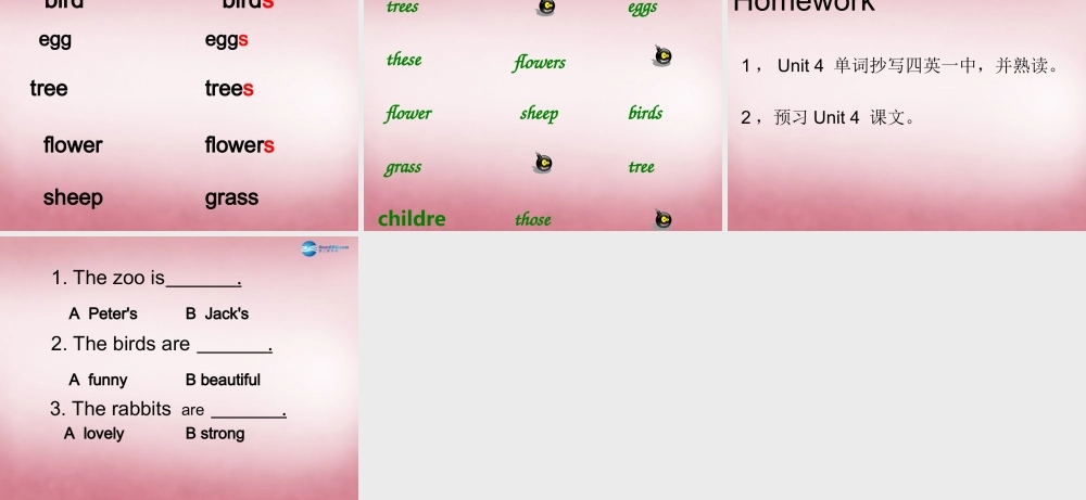 四年级英语上册 Unit4 These are flowers课件6 （新版）湘少版