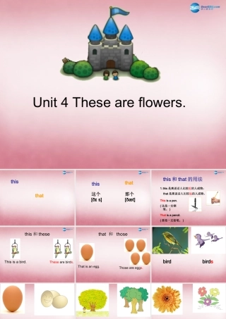 四年级英语上册 Unit4 These are flowers课件6 （新版）湘少版