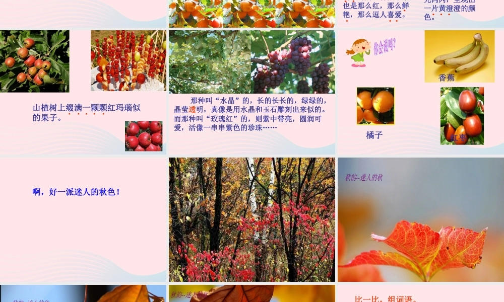 四年级语文上册 第一单元 3《秋色》课件 冀教版-冀教版小学四年级上册语文课件