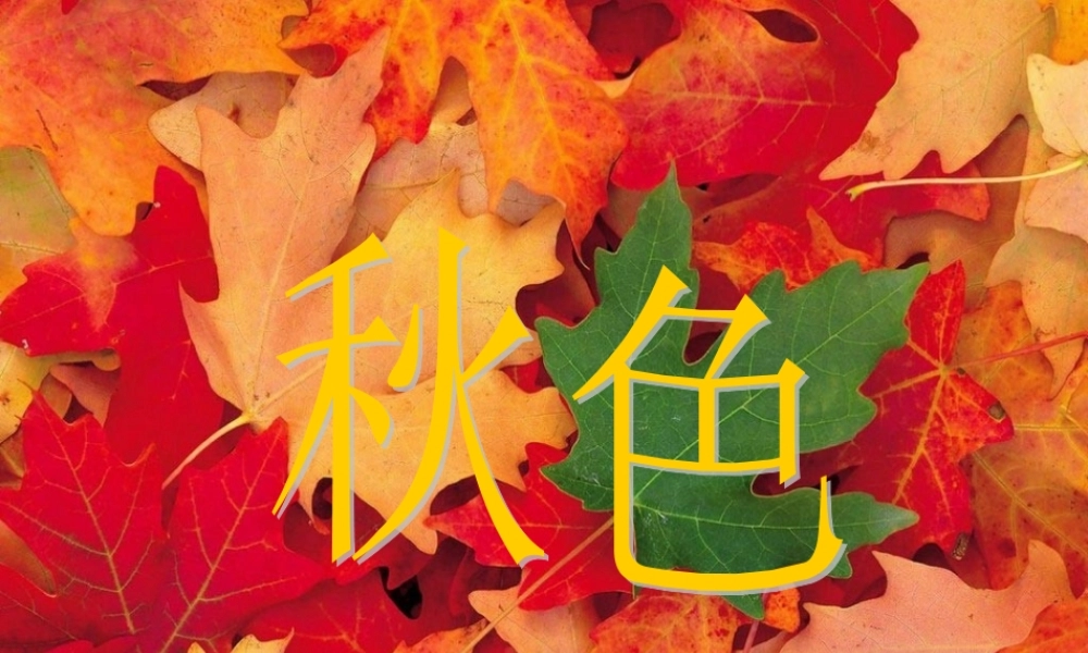 四年级语文上册 第一单元 3《秋色》名师推荐课件 冀教版-冀教版小学四年级上册语文课件